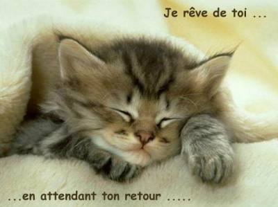 pour mon ti chouchou..